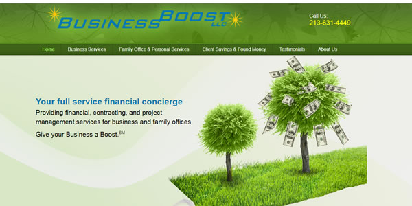 businessboostusa.com screenshot of homepage of the website